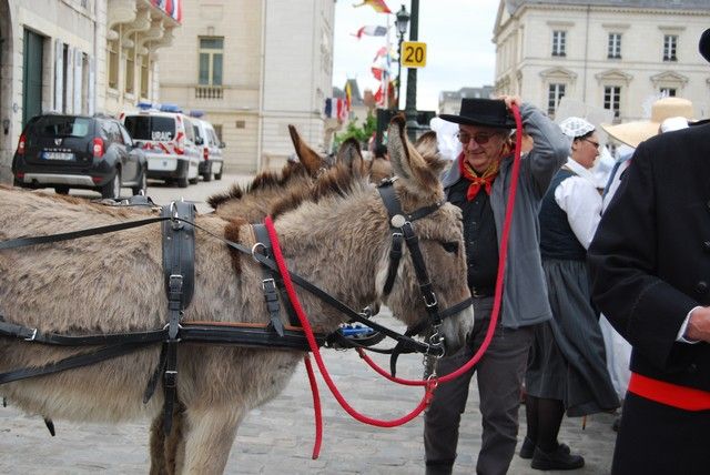 Orelans 8 mai 2014 (70).jpg